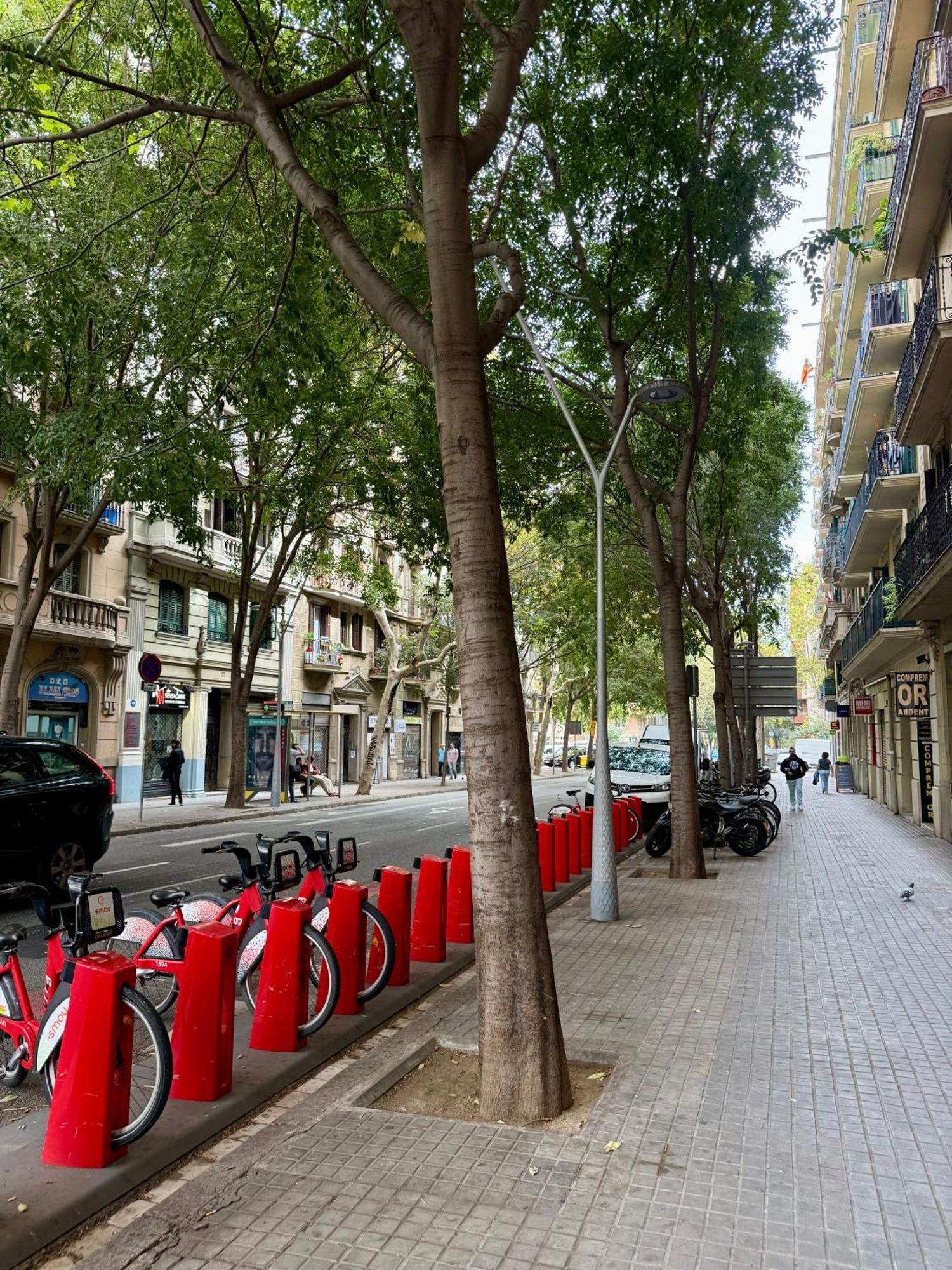 Newly Renovated Stylish Eixample - Great Location Barcelona Zewnętrze zdjęcie